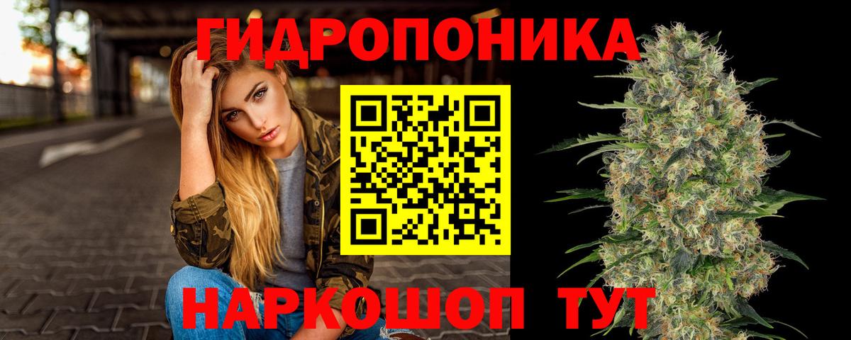 Каннабис конопля Глазов